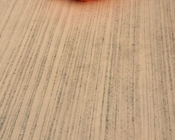 News von der Freizeit Langeoog 2026 – 23.07.26